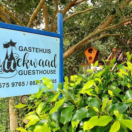 Kattekwaad Accommodation Kaapsehoop Luaran gambar