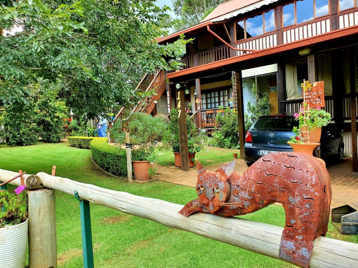 Kattekwaad Accommodation Kaapsehoop Luaran gambar