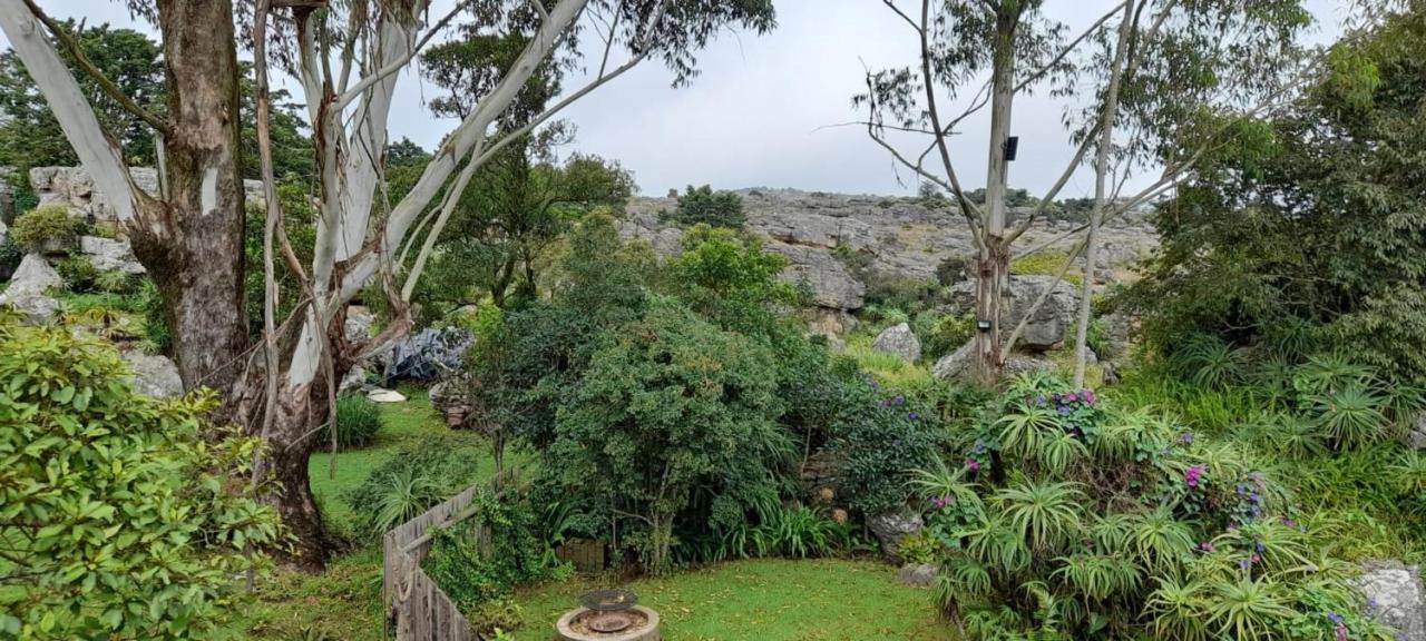Kattekwaad Accommodation Kaapsehoop Luaran gambar