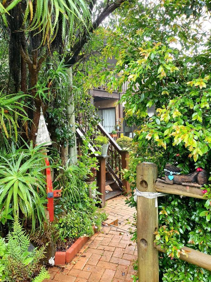 Kattekwaad Accommodation Kaapsehoop Luaran gambar