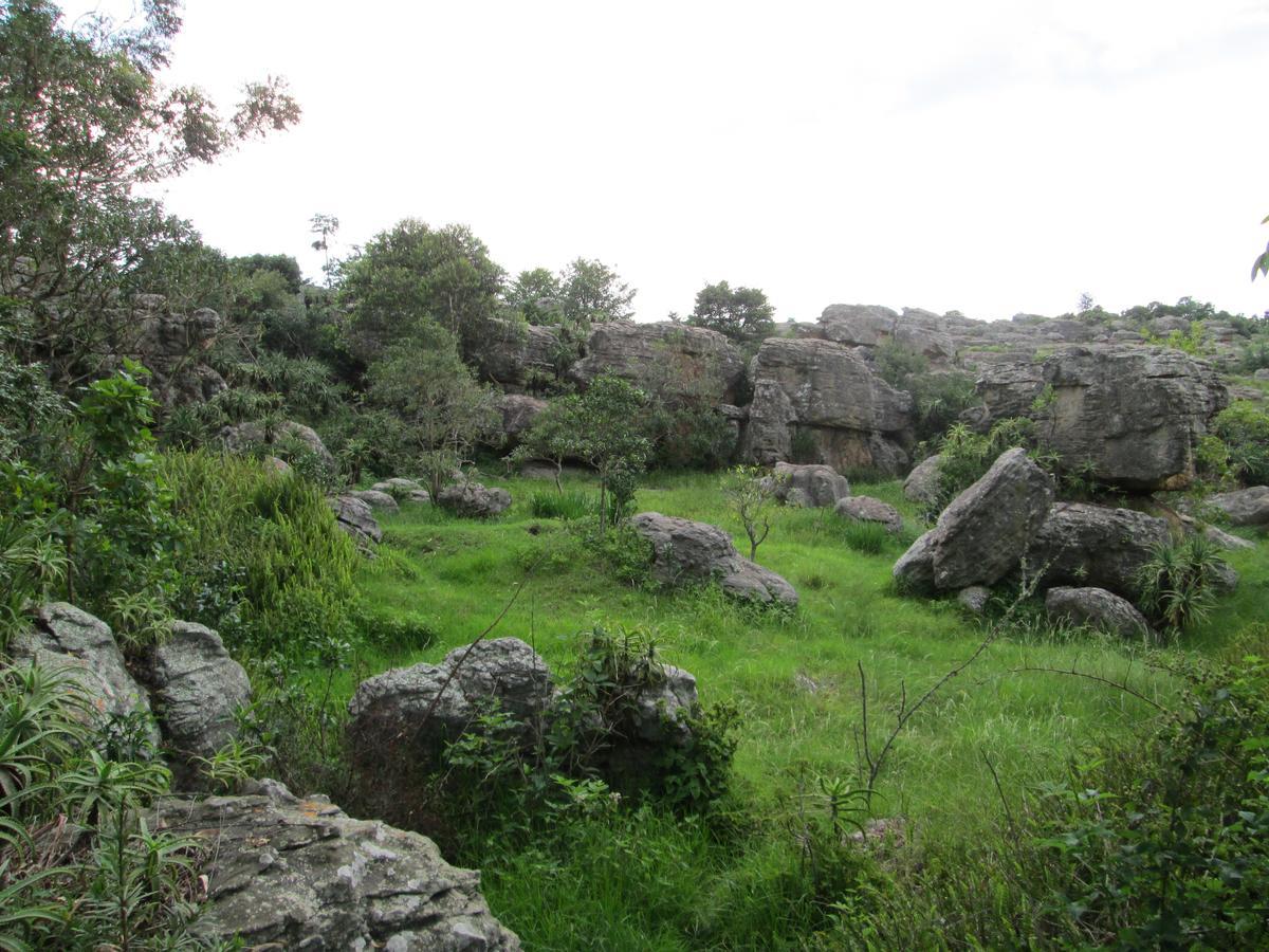 Kattekwaad Accommodation Kaapsehoop Luaran gambar