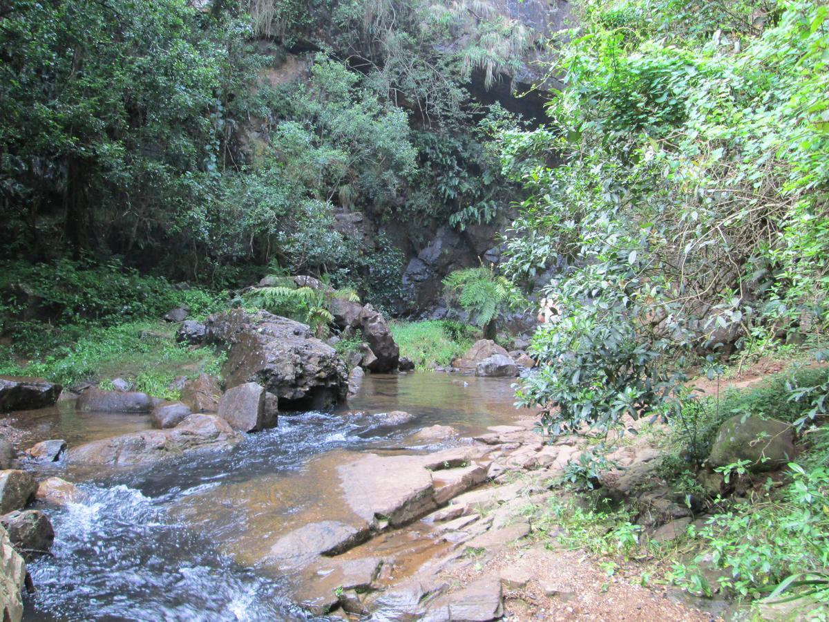 Kattekwaad Accommodation Kaapsehoop Luaran gambar